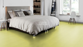 Forbo Marmoleum Click 333885 spring buds фото 3 | FLOORDEALER